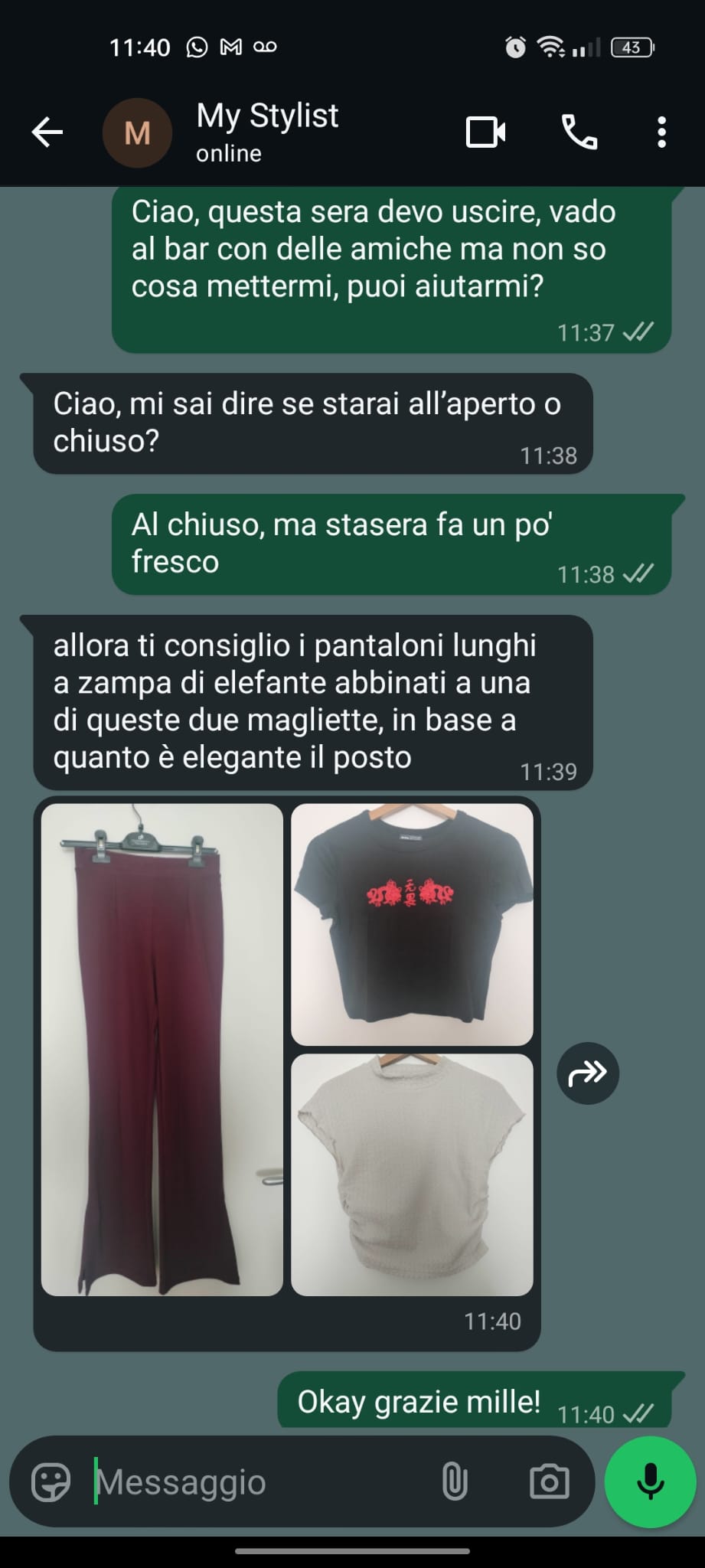 Esempio consulenza outfit (immagine blurrata)