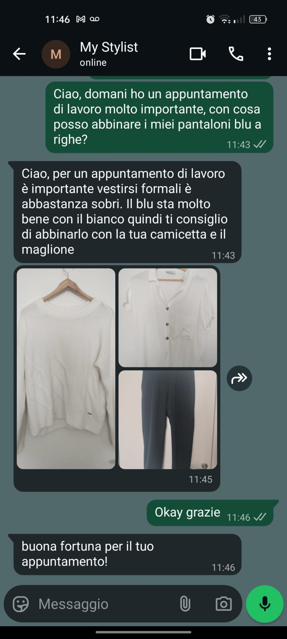 Esempio consulenza outfit (immagine blurrata)